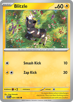 Blitzle 031/086 White Flare Pokémon TCG Regular