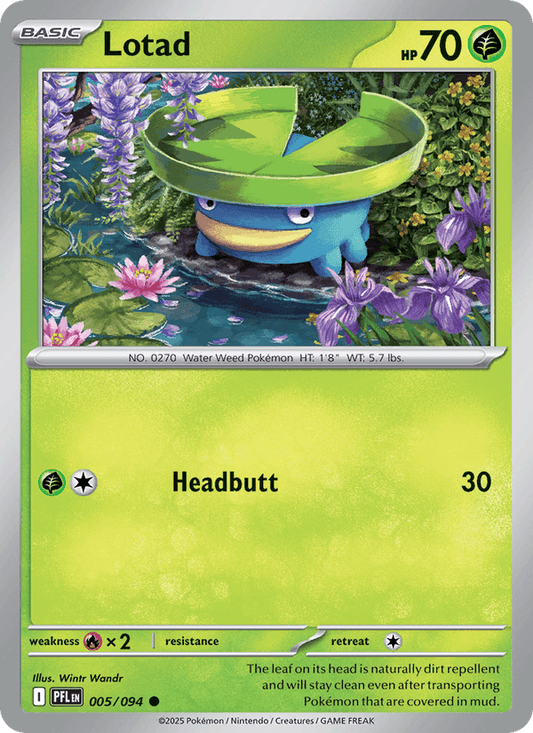 Lotad 005/094 Phantasmal Flames Pokémon TCG Regular