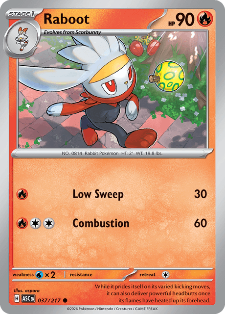Raboot 037/217 – Pokémon Ascended Heroes card artwork